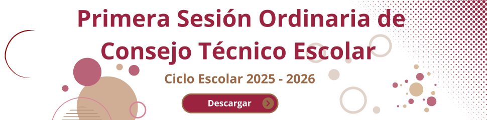 Consejo Técnico