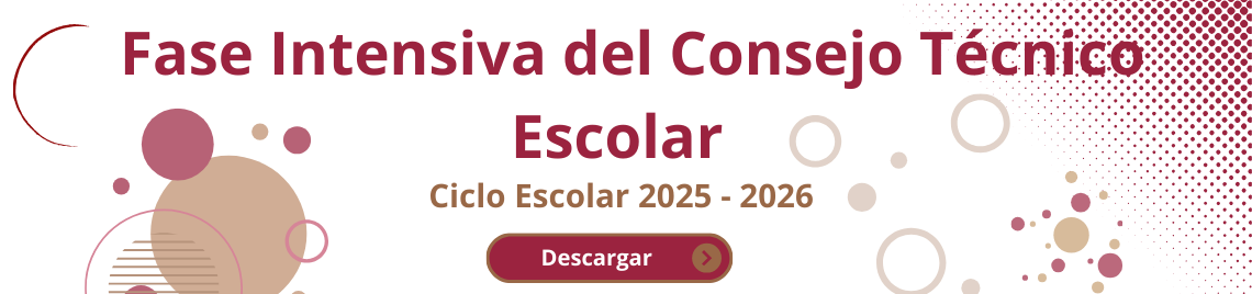 Consejo Técnico